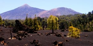 Volcán Chinyero - Ruta para Conocerlo