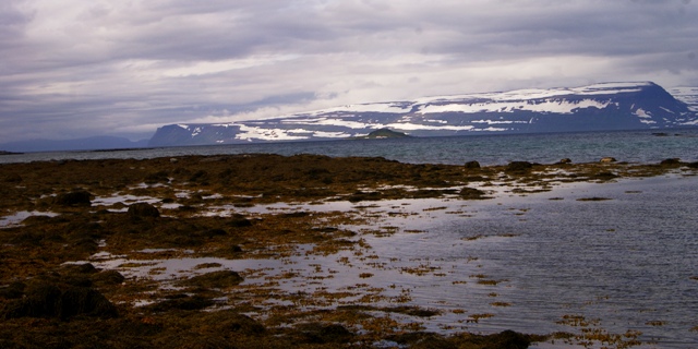 Islandia, Iceland, Westfjords, Fjordos del Oeste, Fjordos Occidentales