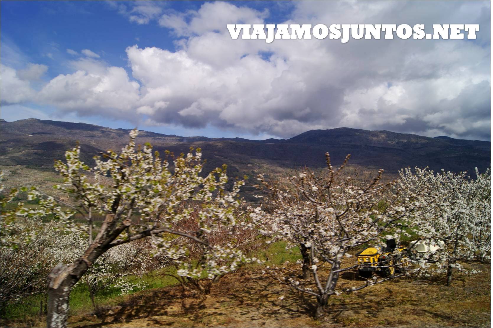 Valle del Jerte, Jerte, Cerezo en flor, Primavera en Jerte, rutas, escapadas, pueblos con encanto