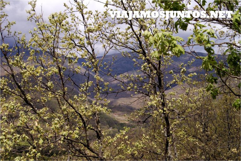 Valle del Jerte, Jerte, Cerezo en flor, Primavera en Jerte, rutas, escapadas, pueblos con encanto, rutas, senderismo, Pilones