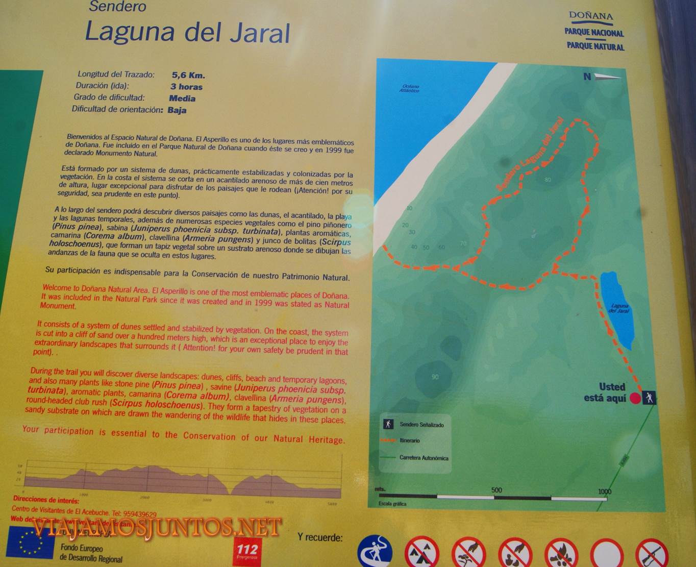 Doñana, asperillo, laguna Jaral, parque natural, parque nacional, parque dunar, dunas, dunas fijas, huelva, andalucia, acantilado, senderismo, rutas
