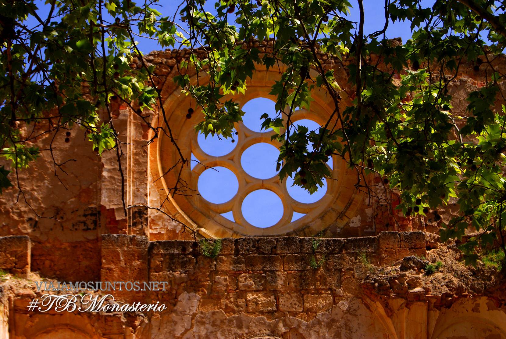 monasterio de piedra, zaragoza, nuevalos, madrid travel bloggers, barcelona travel bloggers, madtb, bcntb, cata de vinos, vinos divertidos, jose marco, curiosidades, leyendas
