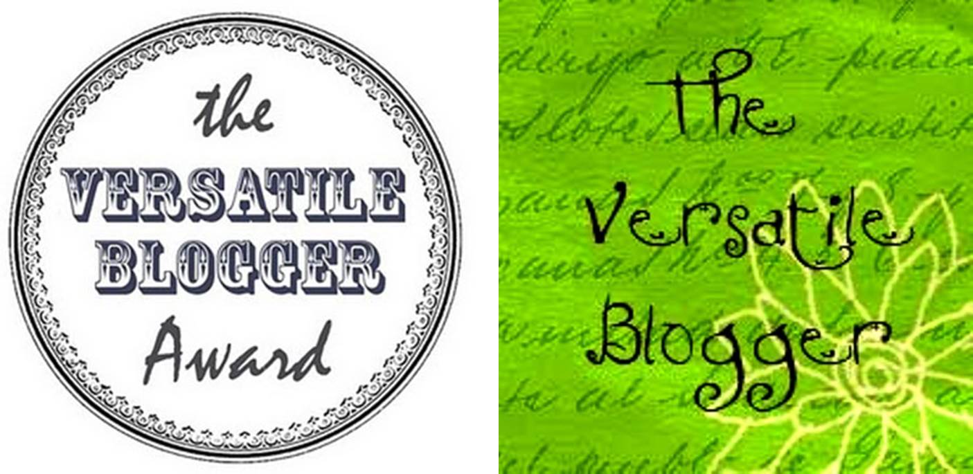 Versatile blogger award, bloggers, viajes, españa