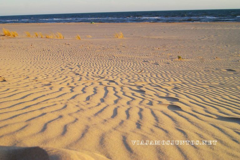Doñana, rutas, senderismo, centros de interpretación, rocina el rocio, huelva, andalucia, dunas, dunas fijas, dunas moviles
