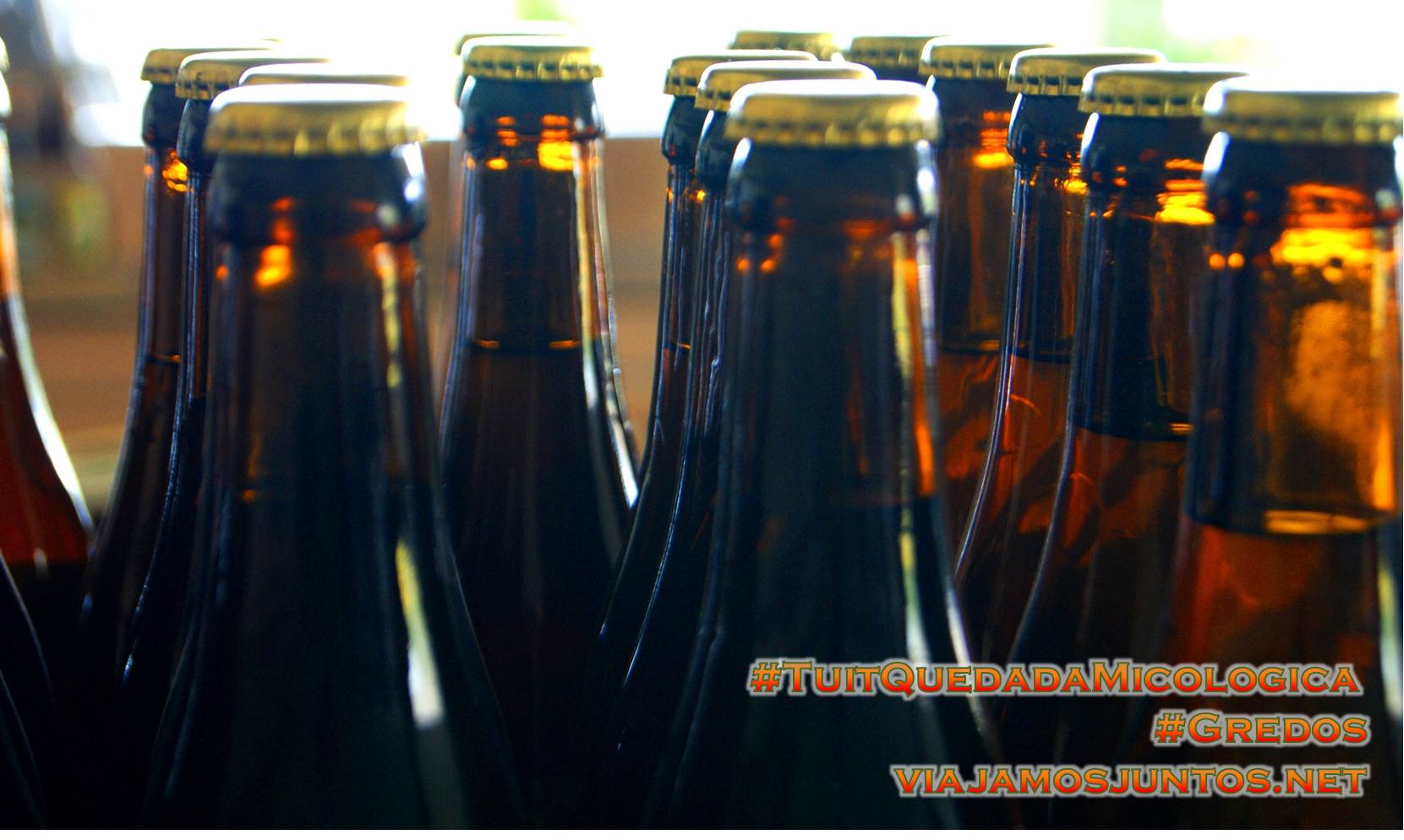 Cerveza de Gredos, la fábrica en Hoyocasero, Gredos, durante la #TuitQuedadaMicologica