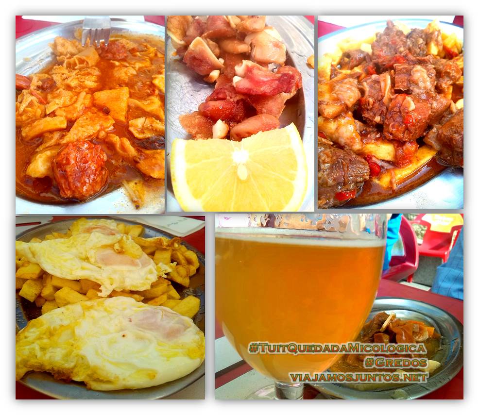 Comer en el bar La Casona. Hoyocasero, Gredos, durante la #TuitQuedadaMicologica