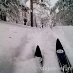 Magia del esquí de fondo. Esquí de fondo, una ruta de senderismo y trineos, y mucha diversión en la nieve en Navacerrada, Sierra de Guadarrama, Parque Nacional. Madrid
