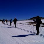 Todos en línea Esquí de fondo durante #MadTBNieve, @MadridTB Madrid Travel Bloggers en Parque Nacional de Guadarrama