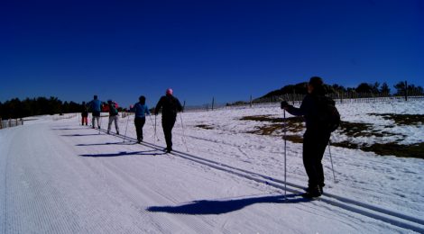 Todos en línea Esquí de fondo durante #MadTBNieve, @MadridTB Madrid Travel Bloggers en Parque Nacional de Guadarrama