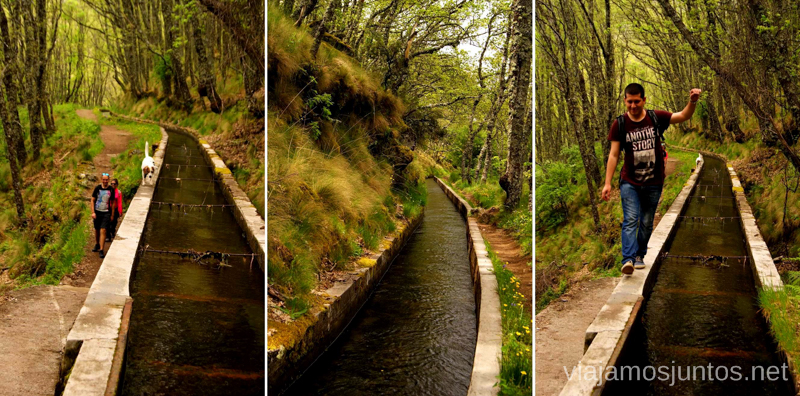 Sigue el canal, y llegaras a Hervás... casi Ruta de la Chorrera, Hervás, Extremadura.