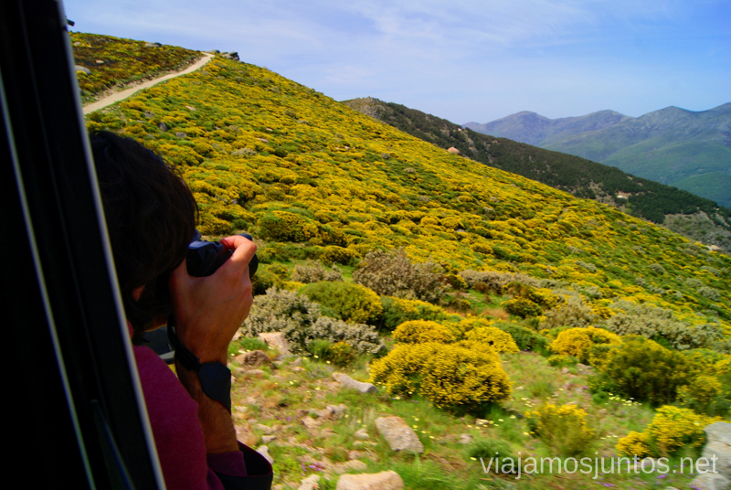 Haciendo fotos sin parar Ruta en 4x4 por lo alto del Valle del Jerte, Extremadura