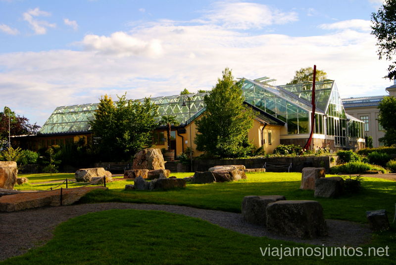 El invernadero del Jardín Botánico Que ver y que hacer en Uppsala, Suecia. Atracciones turísticas. Visitas.