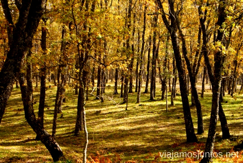 ¿Un paseo? Descubriendo el Edén de la Mancha, el parque natural del Valle de Alcudia y Sierra Madrona
