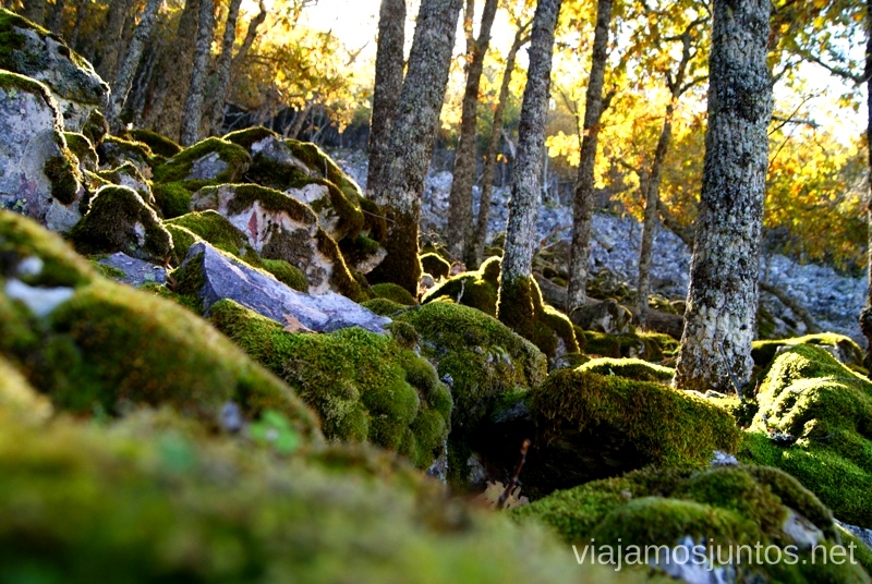 ¿Dónde están las hadas? Descubriendo el Edén de la Mancha, el parque natural del Valle de Alcudia y Sierra Madrona