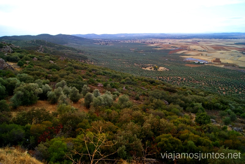 Campos infinitos de olivos Un itinerario de un día por Almodóvar del Campo, Ciudad Real, Castilla-la Mancha Que ver y que hacer