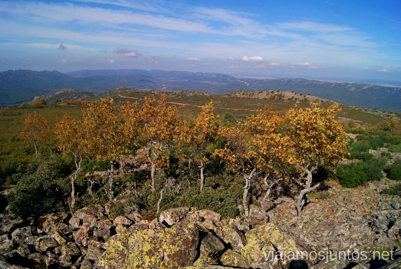 Otoño en Sierra Madrona Descubriendo el Edén de la Mancha, el parque natural del Valle de Alcudia y Sierra Madrona