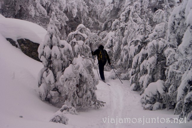 Camino Schmid en invierno Ruta de las cascadas, Navacerrada, Sierra Guadarrama, Madrid. Nieve, río, cascaditas, vistas panorámicas