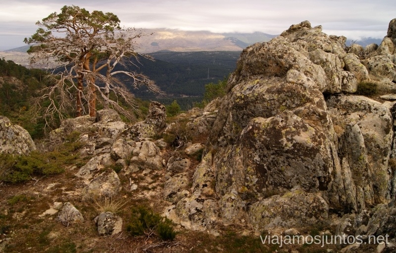Vistas para descansar Senderismo por la zona de San Rafael, Madrid Segovia; Ruta de la Cueva Valiente