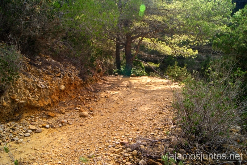 Terreno irregular Rutas de senderismo fáciles por la isla de Ibiza. Invierno o verano. Playa, montaña y calas secretas