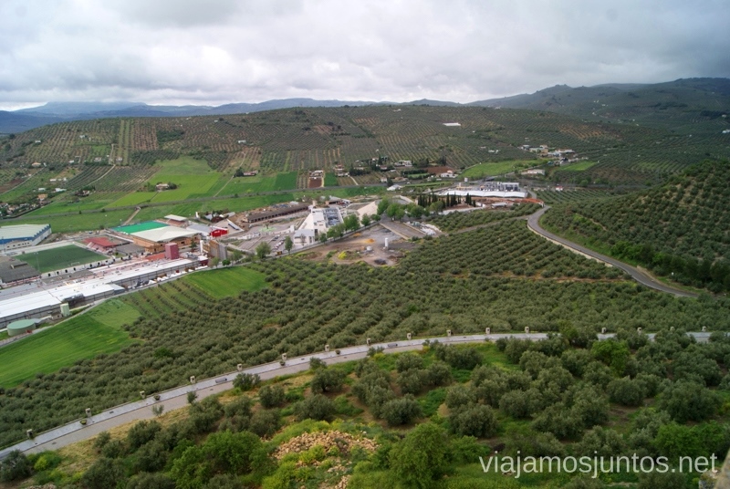 El mar de olivos Ruta de los castillos y batallas, Jaén, Andalucía