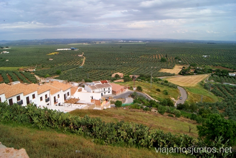 Olivos y más olivos Ruta de los castillos y batallas, Jaén, Andalucía