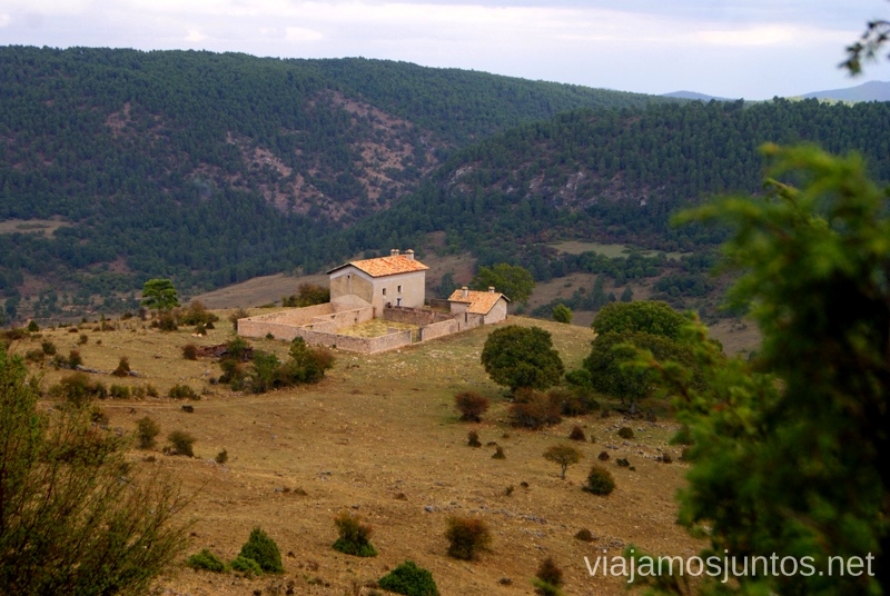 La finca La berrea del ciervo y la ronca del gamo en la Serranía de Cuenca, Castilla-La Mancha