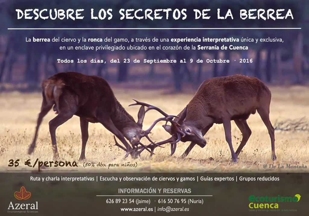 Descubre los secretos de la berrea La berrea del ciervo y la ronca del gamo en la Serranía de Cuenca, Castilla-La Mancha