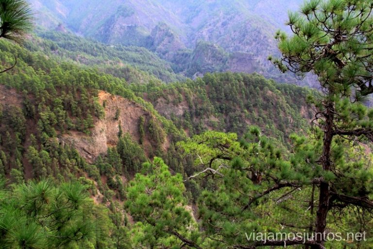 Caminar con estas vistas es un privilegio Ruta de la Caldera de Taburiente, La Palma, Islas Canarias