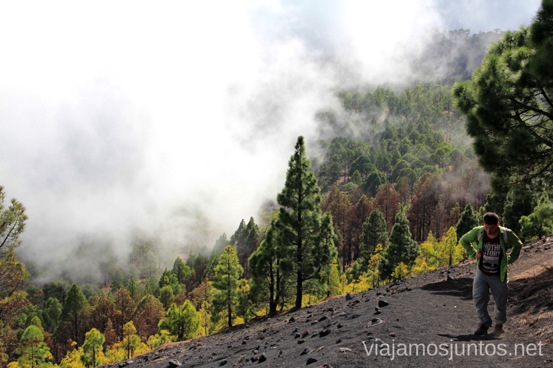 Y llegó la niebla... Ruta de los Volcanes, en la isla de la Palma, Islas Canarias #LaPalmaJuntos