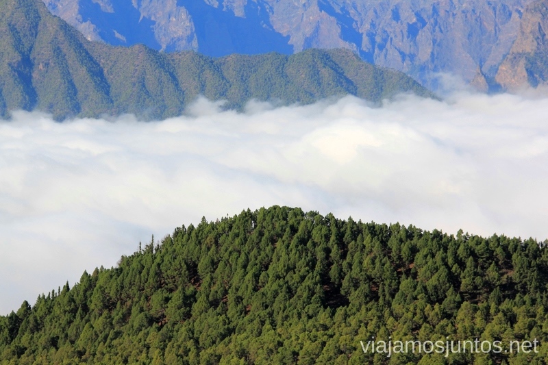 Mar de nubes con la Caldera de Taburiente de fondo desde el mirador el Jable Que hacer en la Palma, 4 actividades muy top
