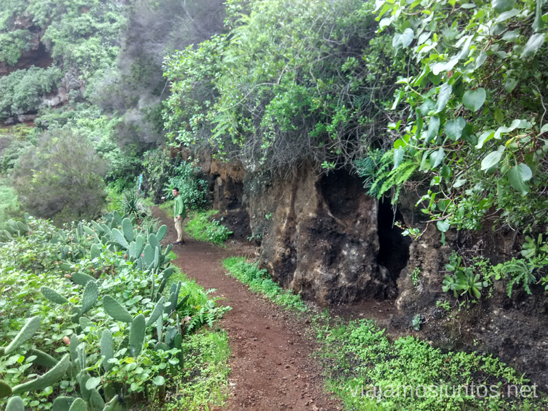Las cuevas-viviendas de Buracas Ruta de los dragos de Buracas La Palma, islas Canarias