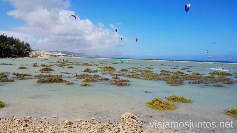 Practicando kitesurf en las lagunas Surfear en Fuerteventura