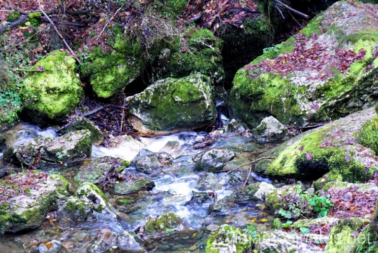 Sumidero del río Guareña Qué ver y qué hacer en las Merindades Castilla y León