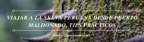 Consejos prácticos para organizar tu viaje a al selva de Perú #PerúJuntos