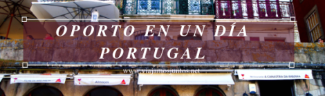 Qué ver y hacer en Oporto en un día Portugal