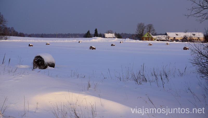 Cuando sale el sol en Países Bálticos en invierno, el paisaje se transforma. Qué ver y hacer en Países Bálticos. Viajar a Países Bálticos en invierno.