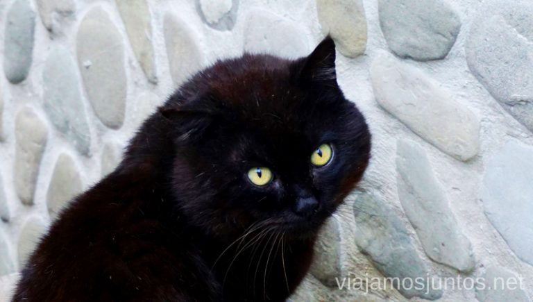 Habitantes majos de Eslovenia. Guía para Viajar a Eslovenia Información práctica Eslovenia en Campervan #EsloveniaJuntos