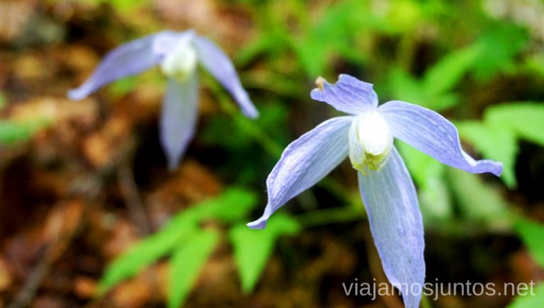 Disfrutando de la naturaleza en Eslovenia. Guía para Viajar a Eslovenia Información práctica Eslovenia en Campervan #EsloveniaJuntos
