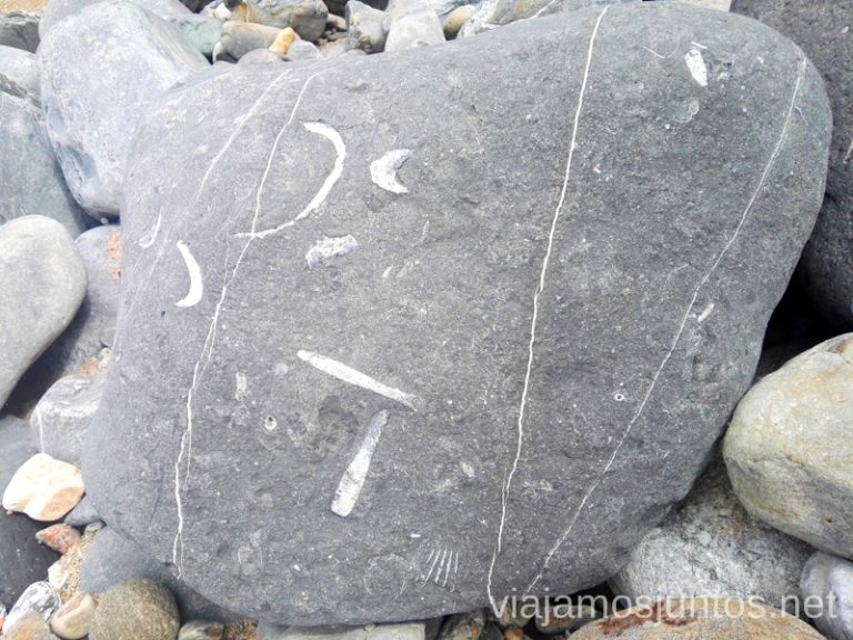 Fósiles en la playa de Vega. Qué ver en Ribadesella y alrededores