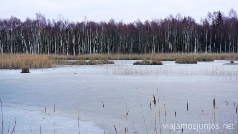 Paisajes de Kurzeme. Viajar a Países Bálticos en invierno.