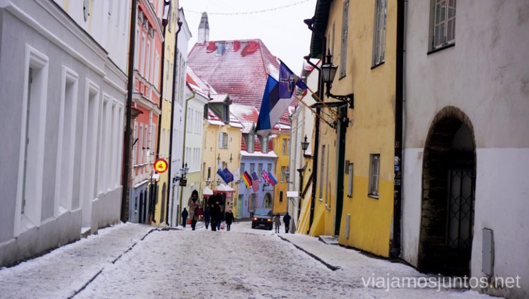 Tallin nevado. Consejos prácticos para visitar Países Bálticos en invierno.