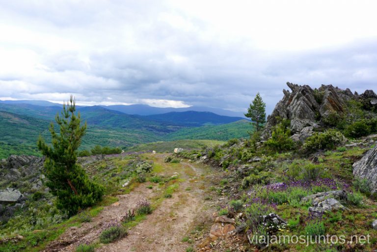 Caminos de la GR 303 en la Sierra del Rincón, Sierra Norte de Madrid.