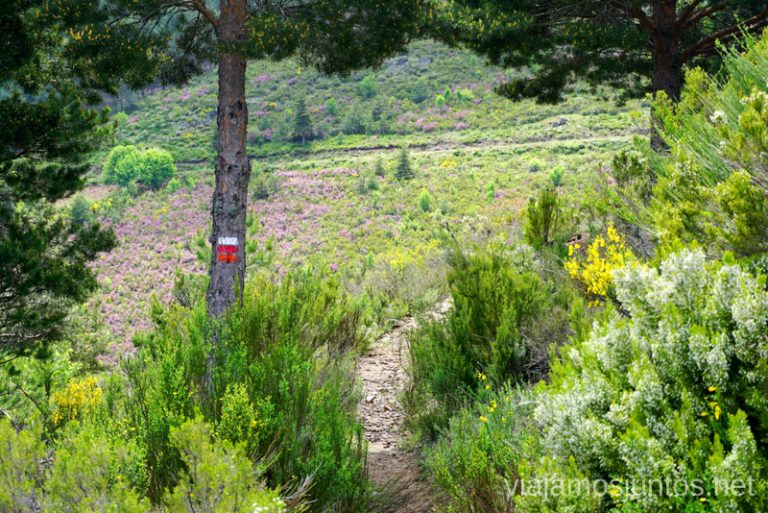 Atento a las marcas en GR 303 en la Sierra del Rincón.