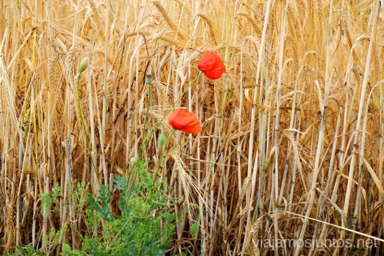 Tranquilidad y paz... Comunidad De Madrid.
