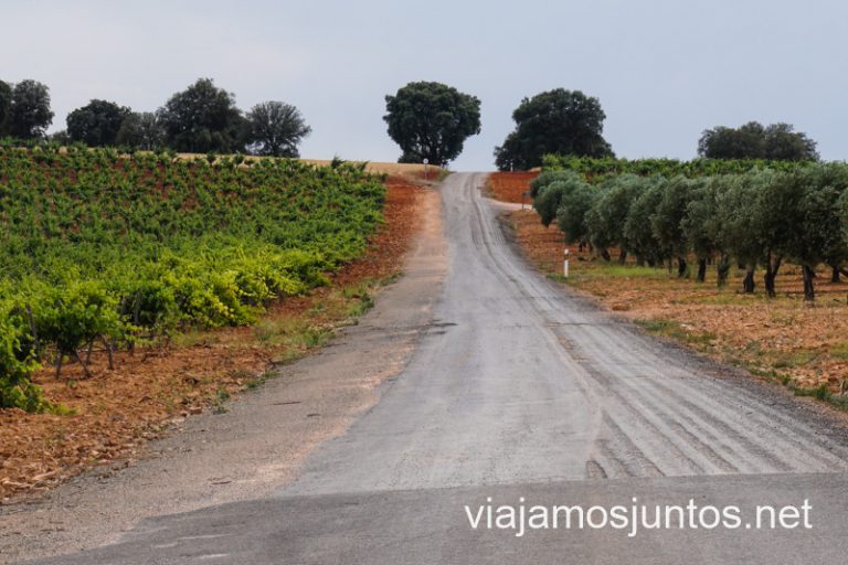 Viñedos y olivares en Valdepeñas. Cuevas y bodegas de la ruta del vino de Valdepeñas, Castilla-La Mancha.