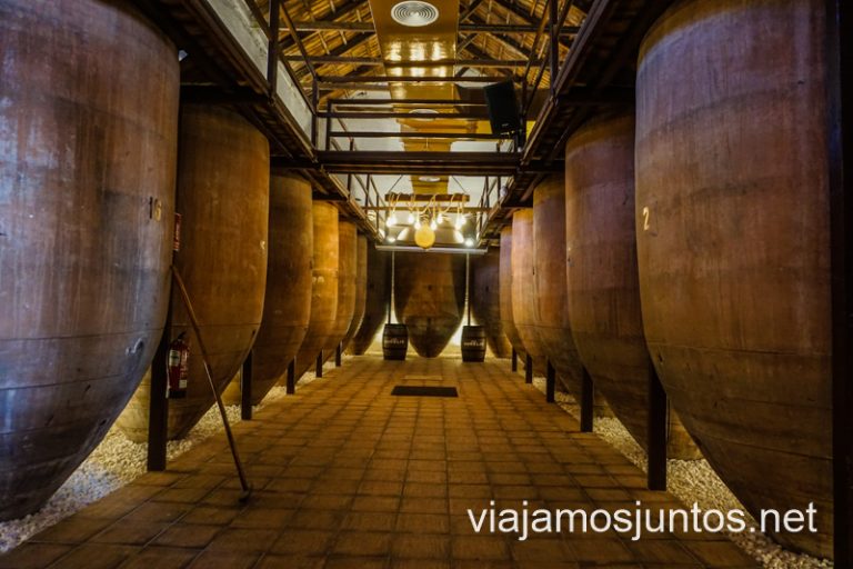 Sala de tinajas, Bodegas Navarro López. Cuevas y bodegas de la ruta del vino de Valdepeñas, Castilla-La Mancha.