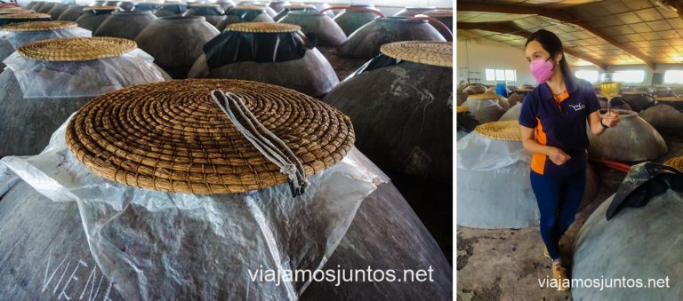 Cooperativa Vinícola Valdepeñas. Sala de tinajas.