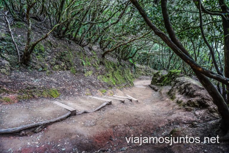 Caminando por la Reserva de la Biosfera Macizo de Anaga, Tenerife.