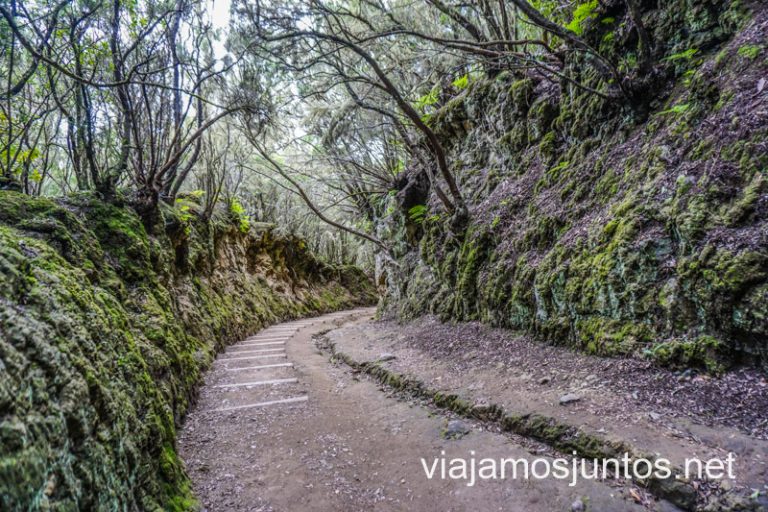 Hacer senderismo en Anaga es muy top.