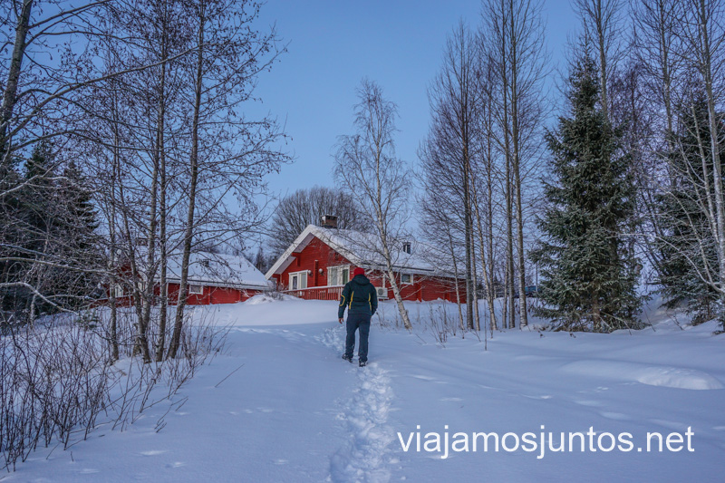 Hasta las casas de los finlandeses están en medio de la naturaleza.